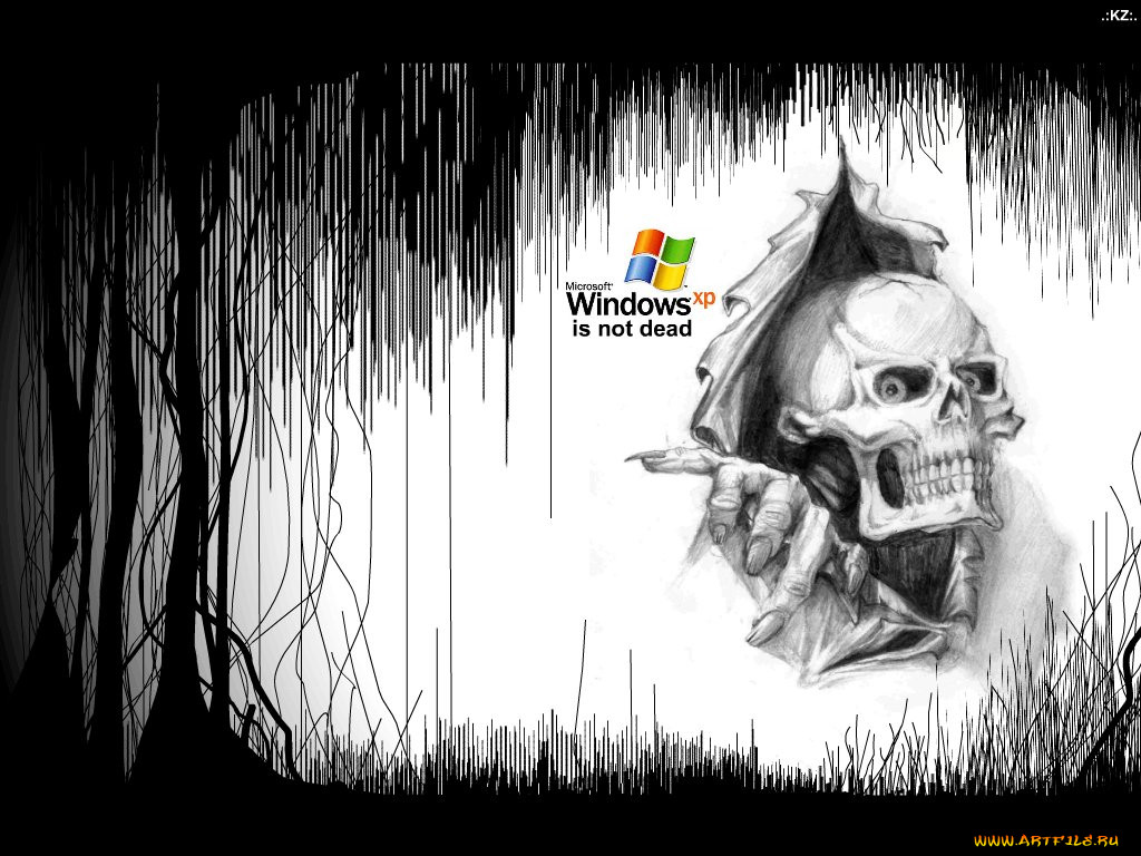 , windows, xp